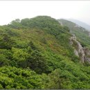 316015 Daum카페