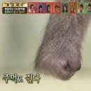 곁에 있는 소중한 사람들