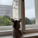 9.9치킨호프 | 오스트리아 신혼여행 기록 : DAY4 (고사우호수/할슈타트/hallstatt imbriss/브로이가스트호프 할슈타트)