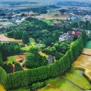 익산원광지역자활센터 | 익산시 설맞이 자활생산품 판매장터 운영 "정성 담은 자활 생산품으로 따뜻한 설 명절 준비하세요!"