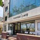 울산 장생포 카페 고래가토 먹으러 커피애광 다녀온 후기