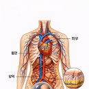 행정사사무소 율평 이미지