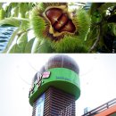 정안영농조합법인 이미지