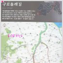 올레길 산림형 3코스 이미지