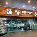 내돈내산 - 안산시 로컬푸드 직매장 방문 후기
