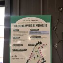 사덕신장로 | 부산 캠핑고깃집 아이랑 함께 가기 좋은 우디바베큐팩토리