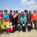 소피아그린 이미지