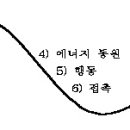 체험적 접근-1. 게슈탈트 치료 이미지