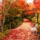 거북바위야영장 이미지