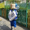 소안의원 | 제22대 국회의원 선거 투표사무원 알바 후기, 선거에 대한 소회