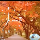 iP TV 이용 간사이지역 지상파 방송보기... 이미지