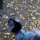 뭉뭉상점 이미지