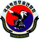 2017 제7회 아산시 천무극(天武極) 전통무예축제 2. 축하 무예연무 1. 국제특공무술연합회 1.. 2017년 9월 16일 아산시 신정호 야외공연장 이미지