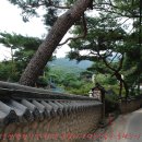 도봉-도봉-서울도봉-2382 이미지