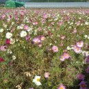 우당약국 이미지