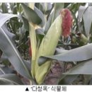 옥무역 이미지