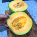 레드퀸 | 고당도 수신 메론 따봉농원 레드퀸 후기 천안에서 만난 달콤함의 끝판왕