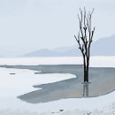 시선컴