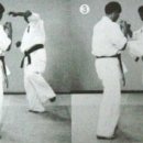 극진공수도 이미지