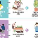 이원영농장 이미지