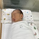 메르디앙 산후조리원 이미지