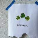 해태집 - 북구 설죽로 496-5 | 해태집