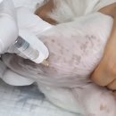 (주)보리메디칼 이미지