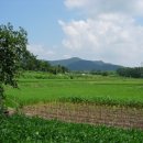 금은당