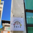 몽쉘꼬몽 | [울산 신정동] 몽쉘꼬몽 강아지케이크 원데이클래스, 펫푸드 간식맛집 베이킹수업 추천🍩