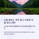 유격장 지나 | 사람 붐비는 계곡 말고, 조용한 여름 찾는다면? 도마치계곡 완벽 가이드