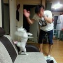 (주)서포트드림 이미지