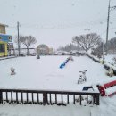 예쁜둥지어린이집 이미지