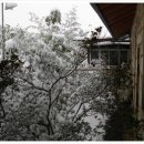 모산방 이미지