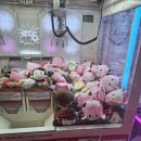 짱오락실 대전둔산점 이미지