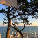 건축사사무소 리우 이미지