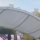 송림태권도 이미지