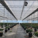 인원농장 이미지