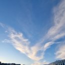 (주)제주미니버스투어서비스 | 제주미니버스투어 겨울 낭만 우정 여행 즐겼어요.