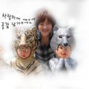 피아민트 이미지