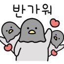 초이네 이미지