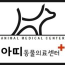 아띠동물병원 이미지