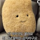 아이티디자인 | 스노우 디자인 인턴 합격 후기(프로모션/배너) & 근무 후기 ✨