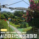 강화도 아이랑 가볼만한 곳 시리미자연놀이체험장 숲 놀이터