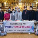 진행정사 이미지