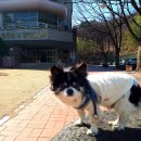 황금누리동물병원 이미지