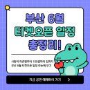 부산 6월 티켓오픈 일정 총정리! 사랑의 하츄핑부터 100층짜리 집까지