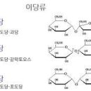 201511126신경민 chapt.3 탄수화물 review 이미지