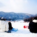 파인리조트 이미지