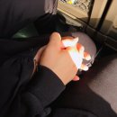 1박2일 힐링 경주 여행 블루 365펜션 후기
