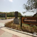 연천전곡리유적 이미지